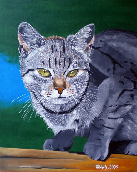 A cat,un chat. Acrylic Canvas Animals