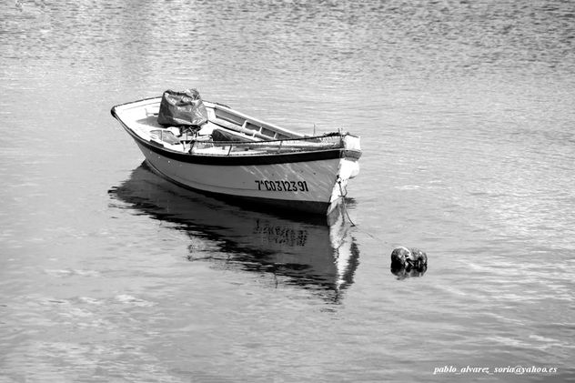 BARCA Y REFLEJOS 2