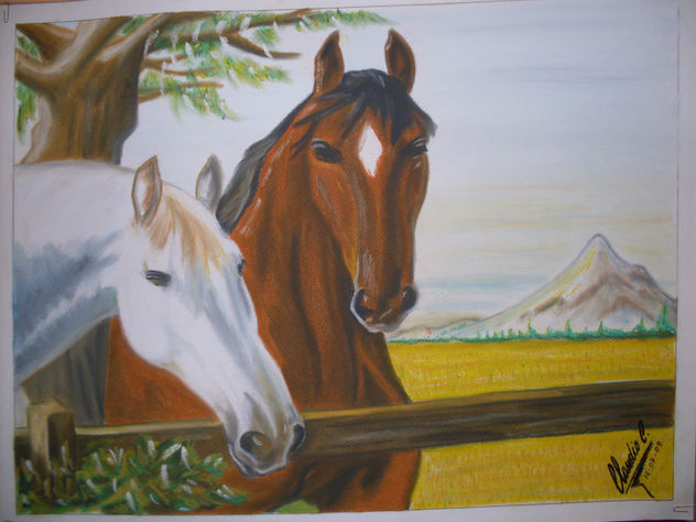 caballos