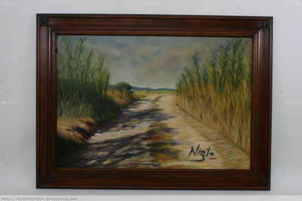 Camino de la cañada