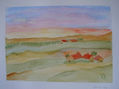 Campos en verano III