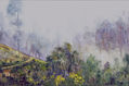 0423-07-0174- NIEBLA EN LAS MONTANAS