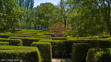 Laberinto