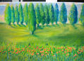 campo y arboleda de cipreses