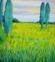 campos de amapolas
