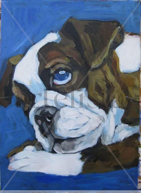 Perro en azul