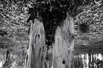 Desnudo_3