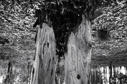 Desnudo_3