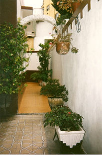 El patio de atras