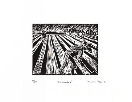 "La  siembra"