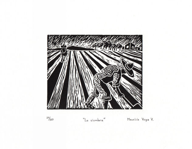 "La  siembra"