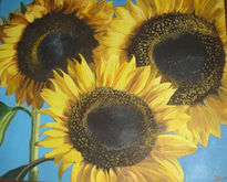 Girasoles