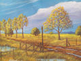 CAMPO EN OTOÑO
