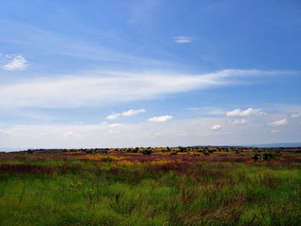 DSC05983_edited