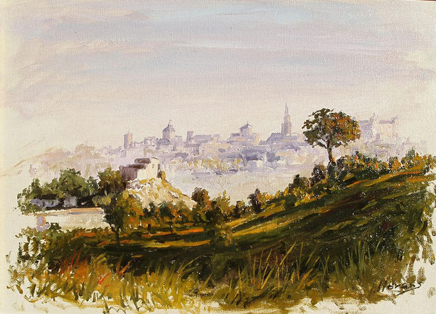 Cerro desde el valle Oil Panel Landscaping