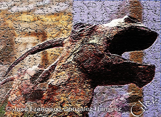 EL GRITO DE LAS CABRAS EN LA CIUDAD  (serie urbana) The cry of the goat in the city (urban series)