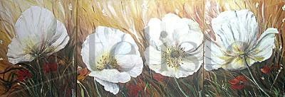 ¨"Amapolas Blancas" 