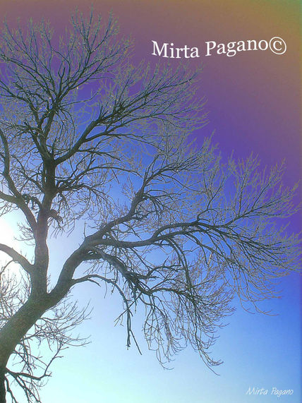Invierno 2009 1