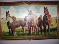 Caballos salvajes