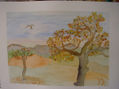 Paisaje XV