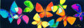 mariposas multicolores 4