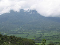 Verde en el cielo