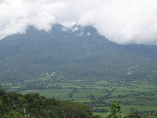 Verde en el cielo 