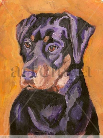 Mirada del perro Acrylic Paper Animals