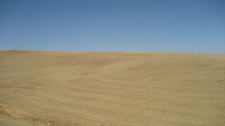 Campos