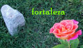 fortaleza