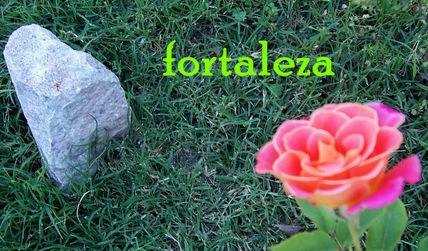 Fortaleza