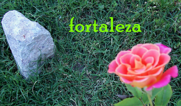 fortaleza