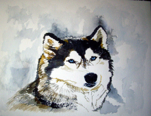 Lobo Acuarela Papel Animales