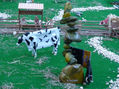 el ganado brick. foto 4