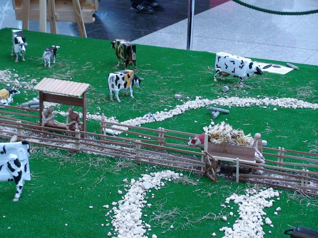 el ganado brick. foto 5