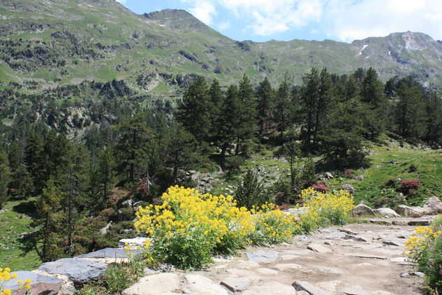 Pirineo aragonés 