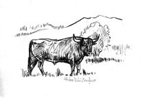 Tauromaquia