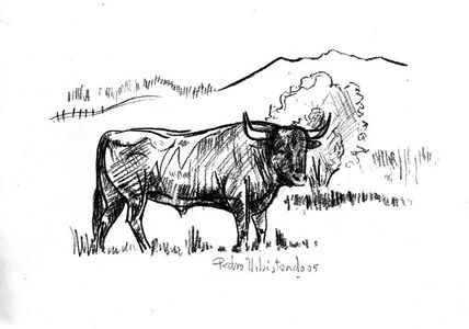 Tauromaquia