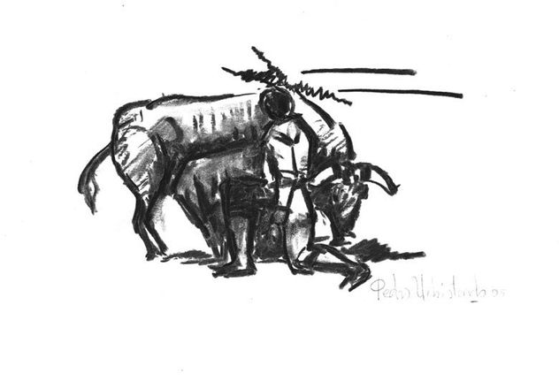 tauromaquia
