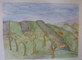 Pirineo navarro III