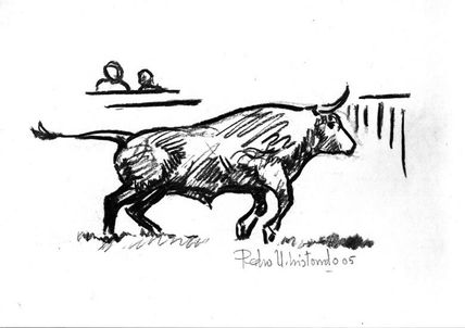Tauromaquia