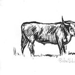 tauromaquia thumbnail 1