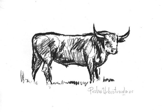 tauromaquia Charcoal