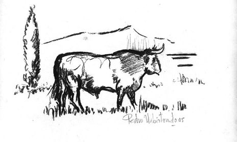 tauromaquia