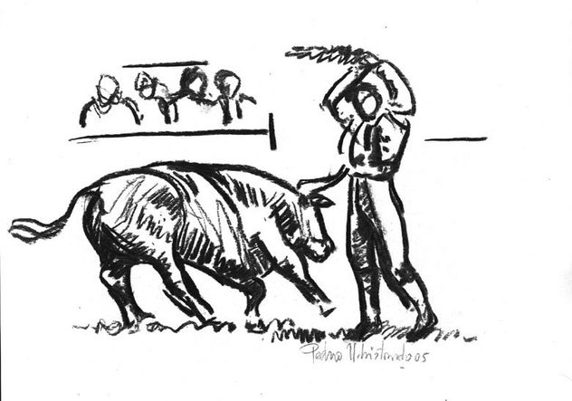 tauromaquia