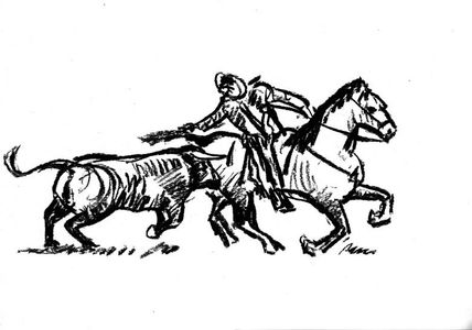 Tauromaquia
