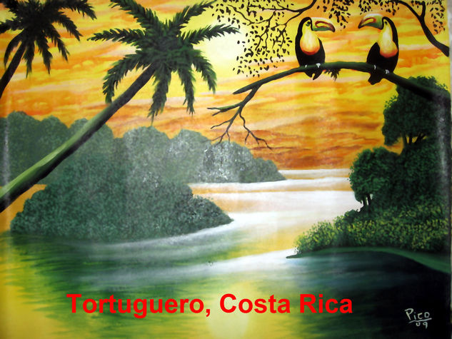 TORTUGUERO 6 