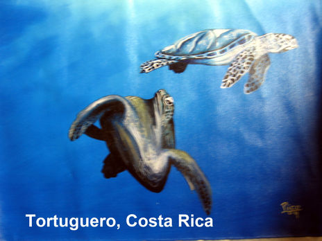 Tortuguero