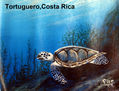 TORTUGUERO