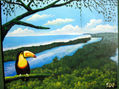 TORTUGUERO8